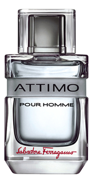 Ferragamo Attimo Pour Homme