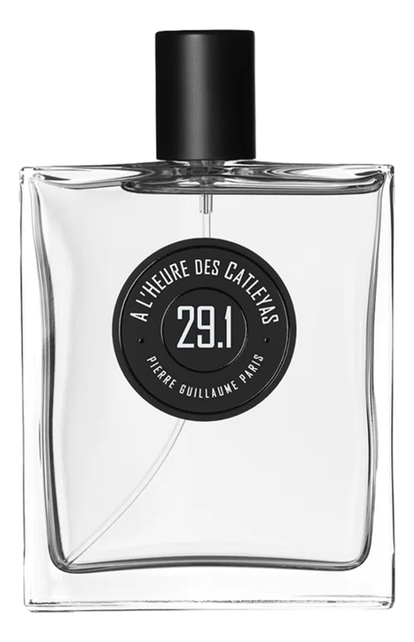 Pierre Guillaume A L’heure Des Catleyas 29.1