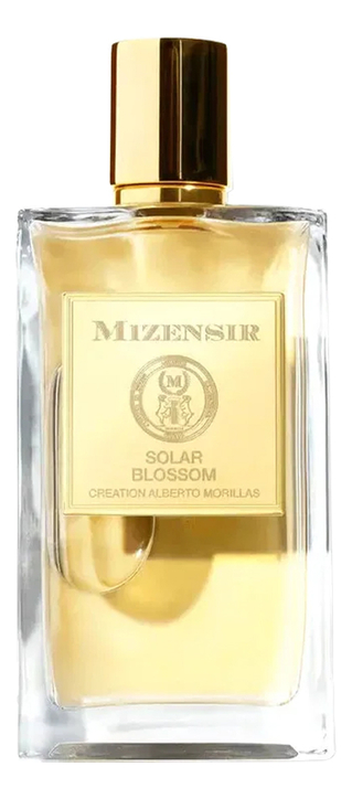 Mizensir Memory Of The Sun