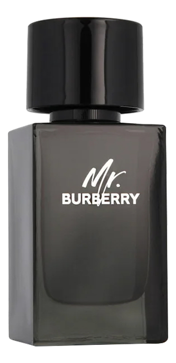 Burberry Mr. Burberry Eau de Parfum