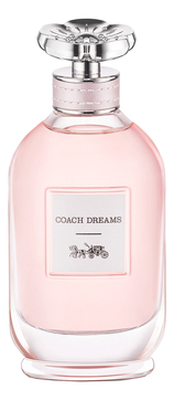 Coach Dreams