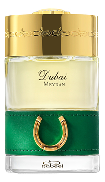 The Spirit of Dubai Meydan