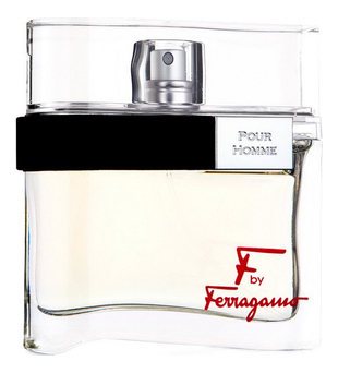 Ferragamo F by Ferragamo Pour Homme