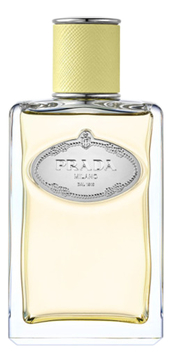 Prada Infusion De Gingembre