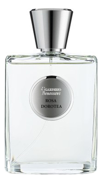 Giardino Benessere Rosa Dorotea