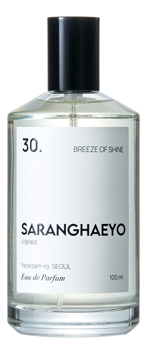 Saranghaeyo 30. Breeze Of Shine