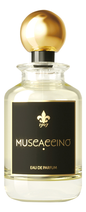 1907 Muscaccino